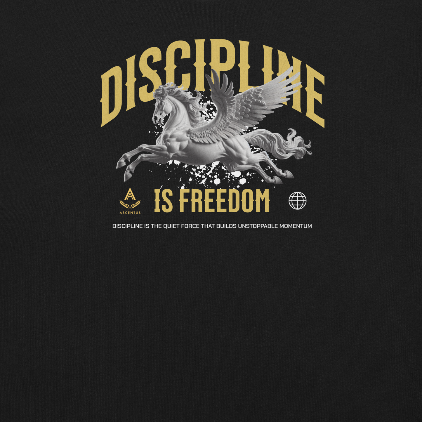DISCIPLINE IS FREEDOM TEE